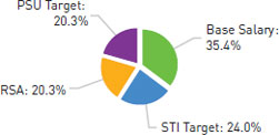 (Pie Chart)